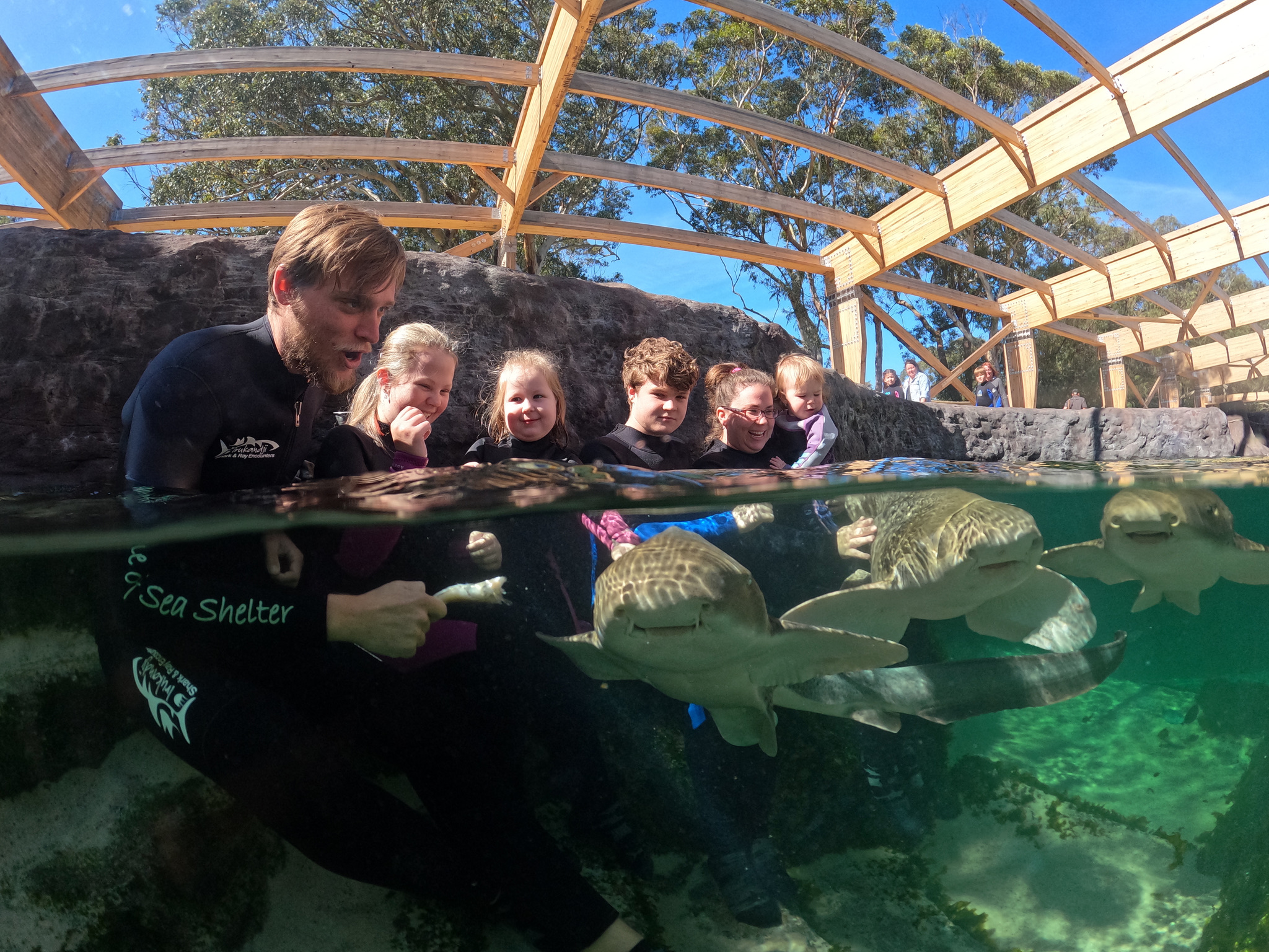 Zebra Shark Encounter $50 packaged with Entry Pass (all ages)  B2B Booking