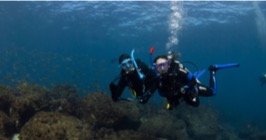 CERTIFIED DIVERS - COOK ISLAND DOUBLE DIVE SPECIAL