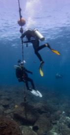 CERTIFIED DIVERS - COOK ISLAND DOUBLE DIVE SPECIAL