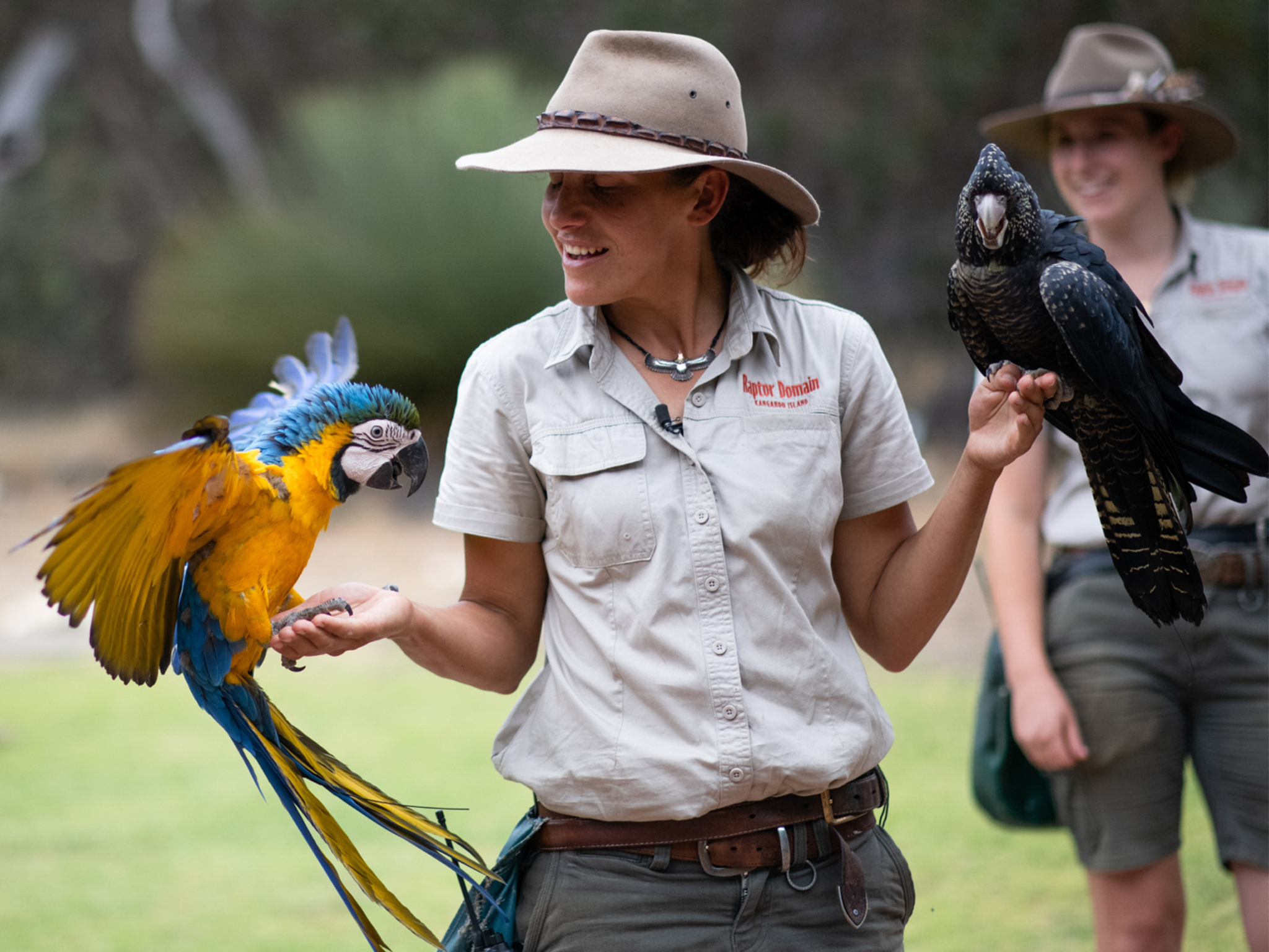 Private Coach - Kangaroo Island Iconic Sights and Wildlife 24- or 57-Seater