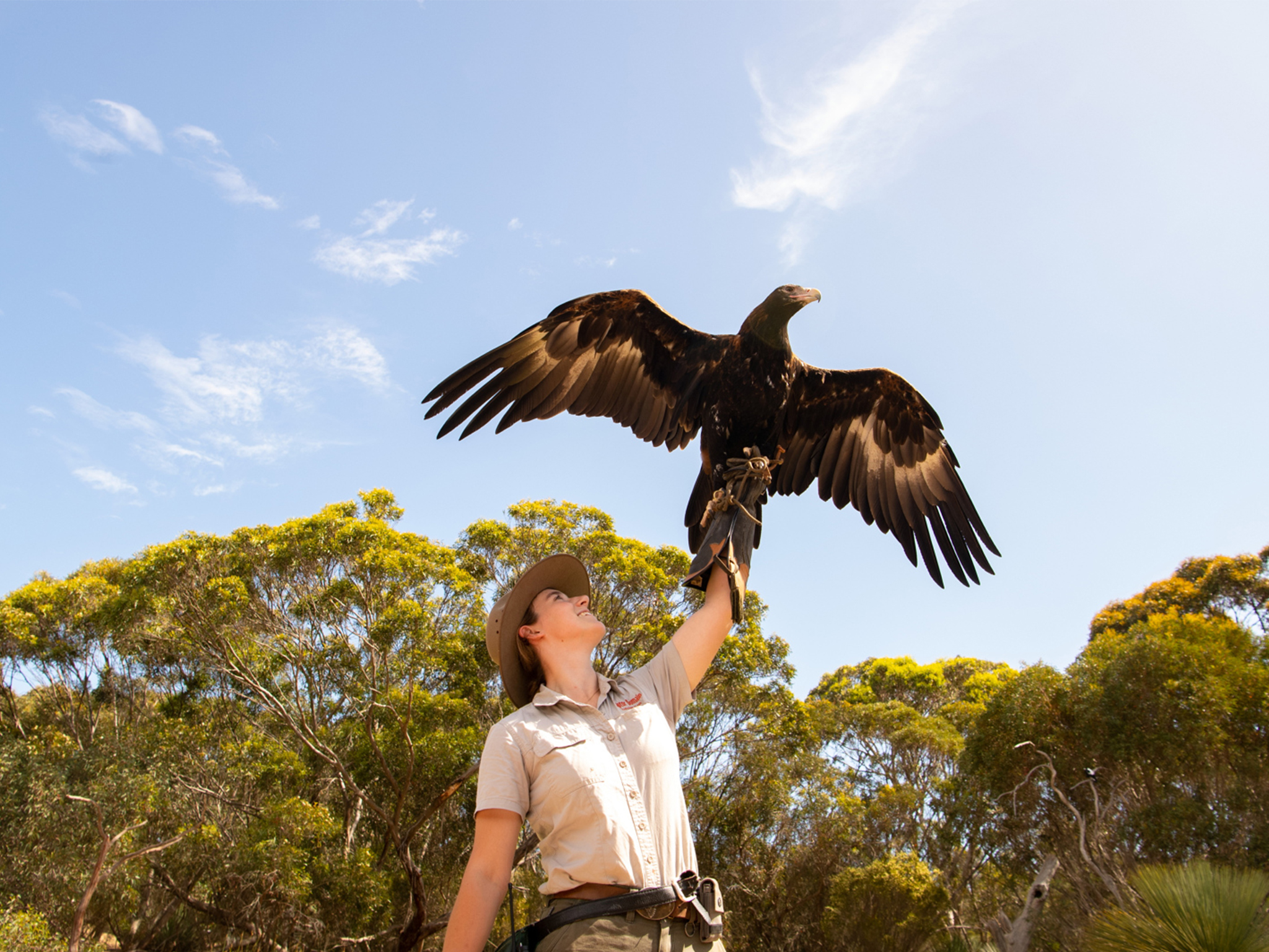 Private Coach - Kangaroo Island Iconic Sights and Wildlife 24- or 57-Seater