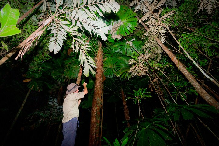 3 Day Cooktown Tour