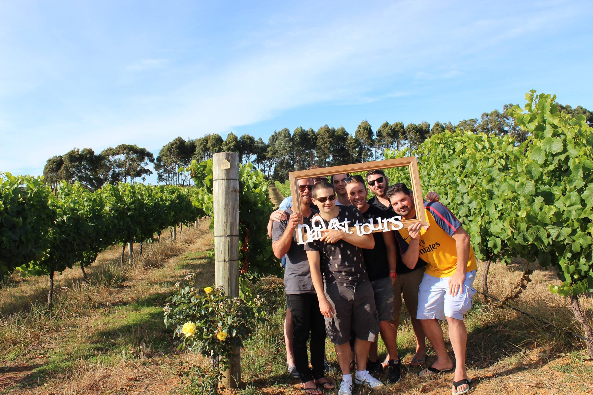 Whale Watch Western Australia & Harvest Tours Whale Wilderness Cruise Experience