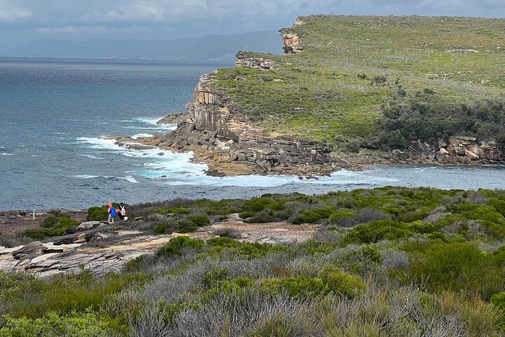 Royal National Park Hike, Swim and Wildlife Tour