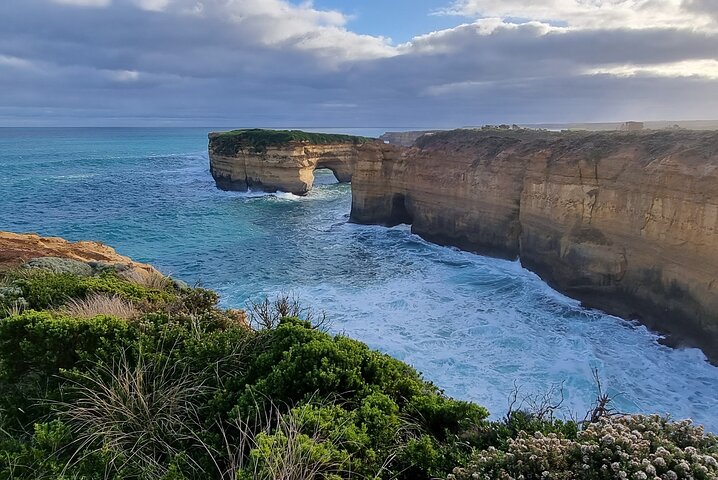 Royal National Park Hike, Swim and Wildlife Tour