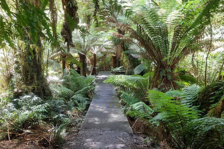 Sunshine Coast Eumundi Markets Return Minibus Transfer from Noosa