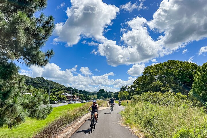 Self Guide E Bike Tour - Rail Trail, Rainforest & Husk Distillery