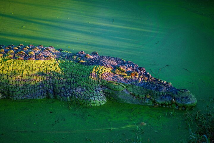 17-Day Cairns to Darwin Tour