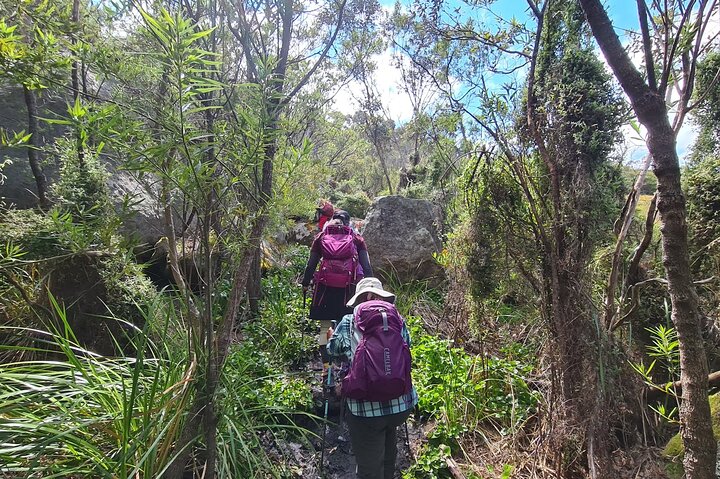 Stirling Range and Porongurup 5 Peak Adventure Weekender