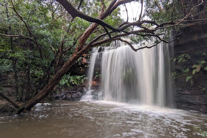 Australian Private Waterfalls tour with Koalas and Kangaroos