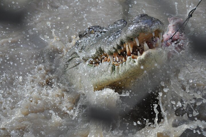Jumping Crocodile Cruise transfers from Darwin City