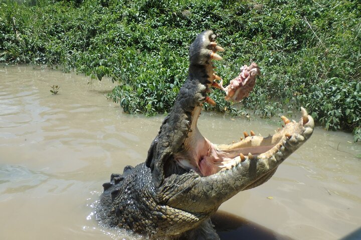 Jumping Crocodile Cruise transfers from Darwin City