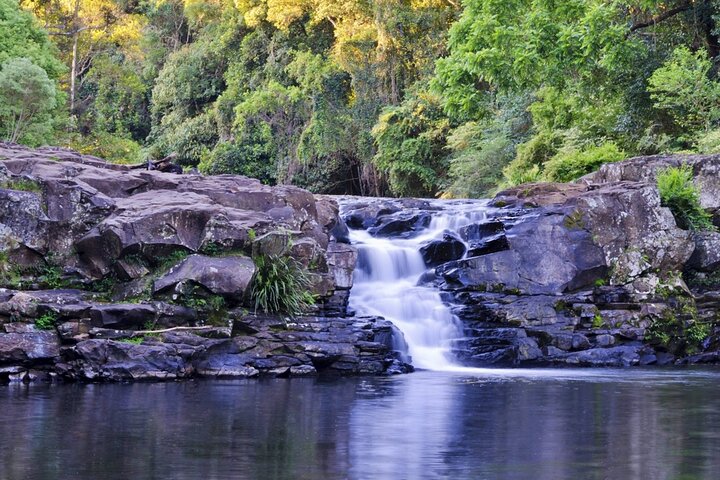 Sunshine Coast Hinterland & Kenilworth Tour Inc Lunch