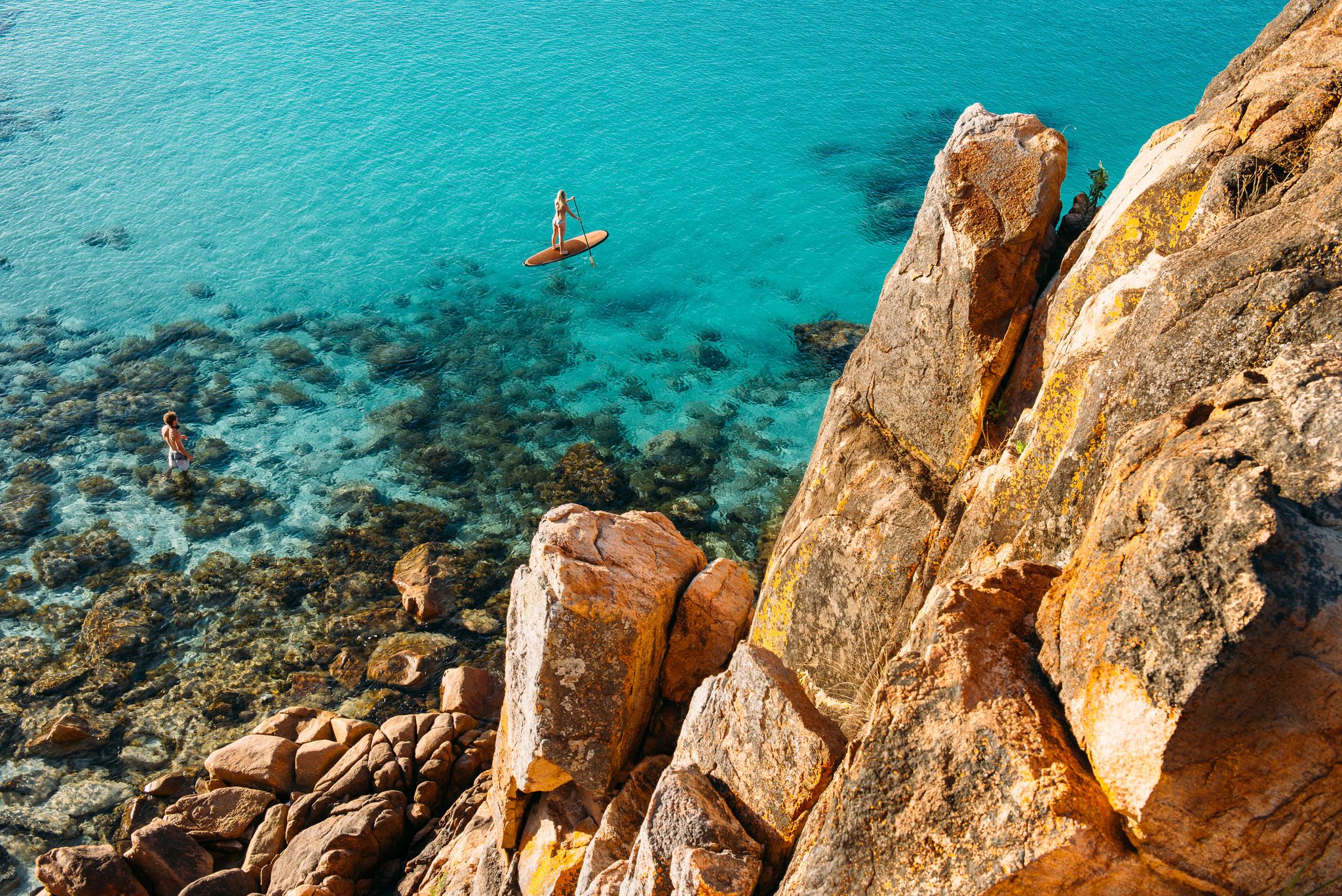 Whale Watch Western Australia & Harvest Tours Whale Wilderness Cruise Experience