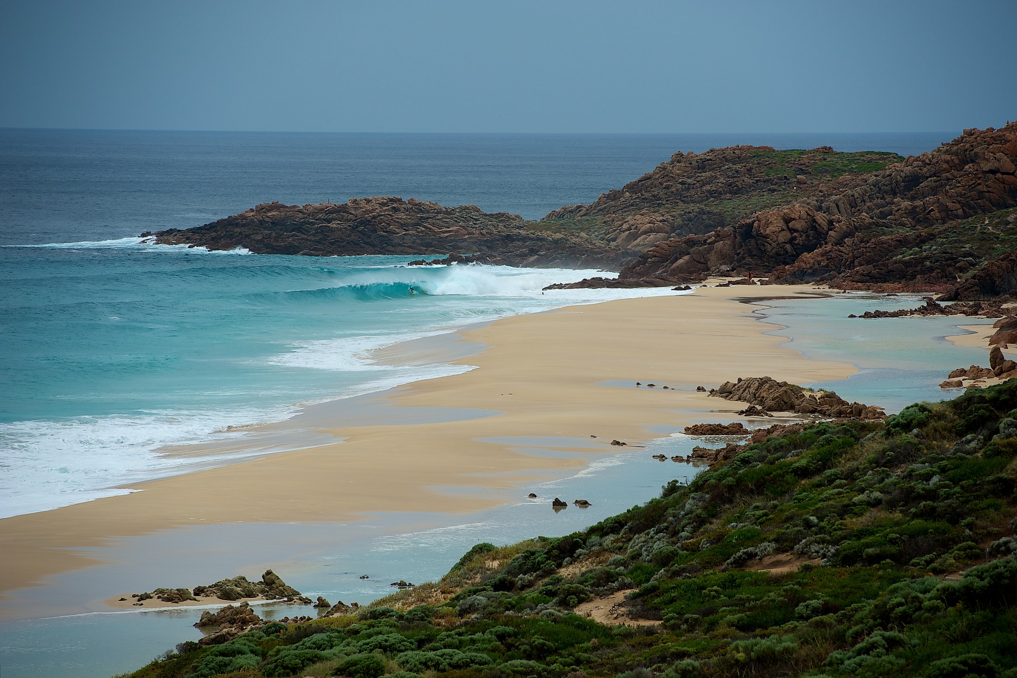 Whale Watch Western Australia & Harvest Tours Whale Wilderness Cruise Experience