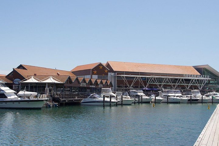 Half-Day Hillarys Marina Tour