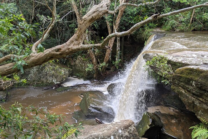 Australian Private Waterfalls tour with Koalas and Kangaroos