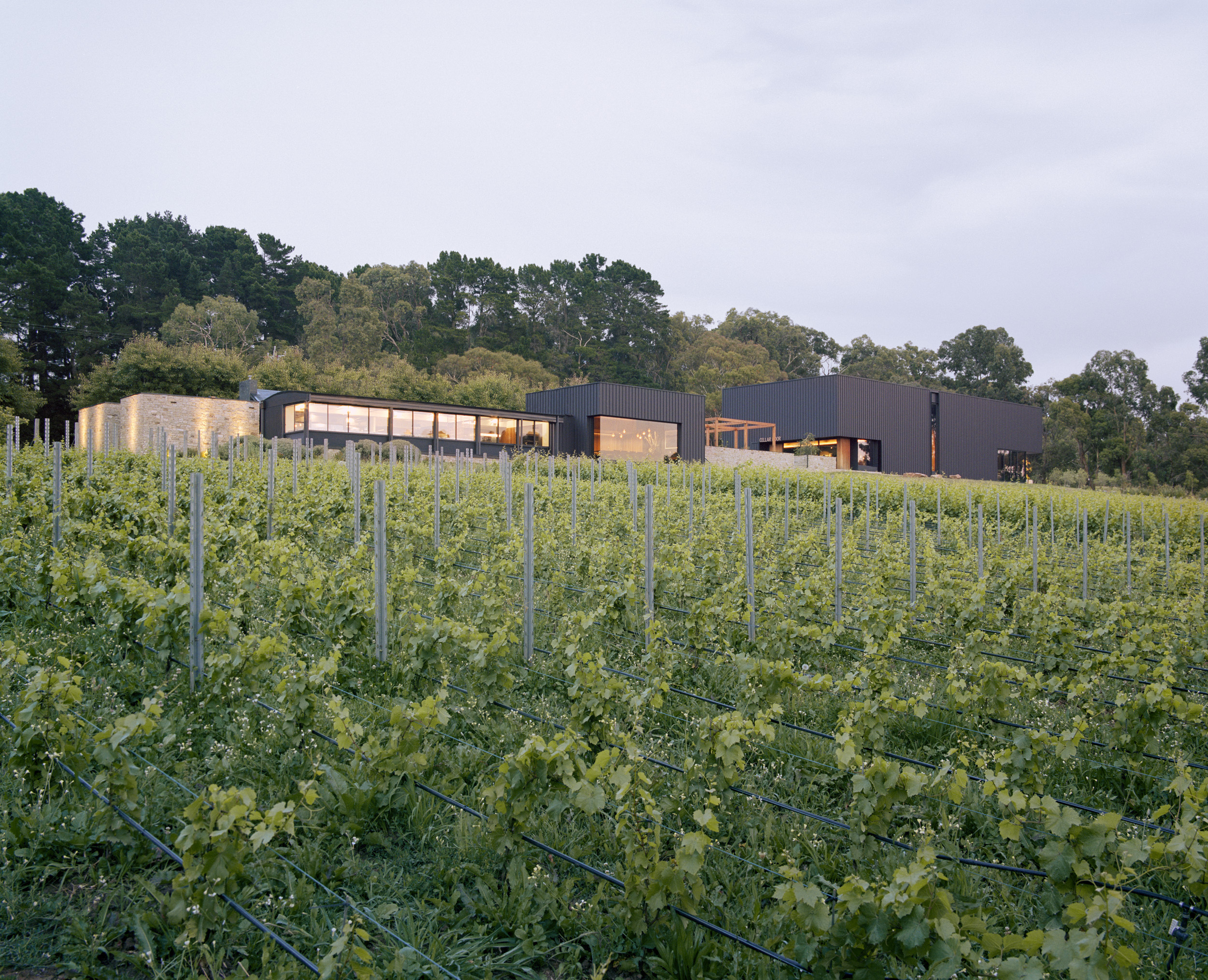 Icons of the Mornington Peninsula - Terroir to Table