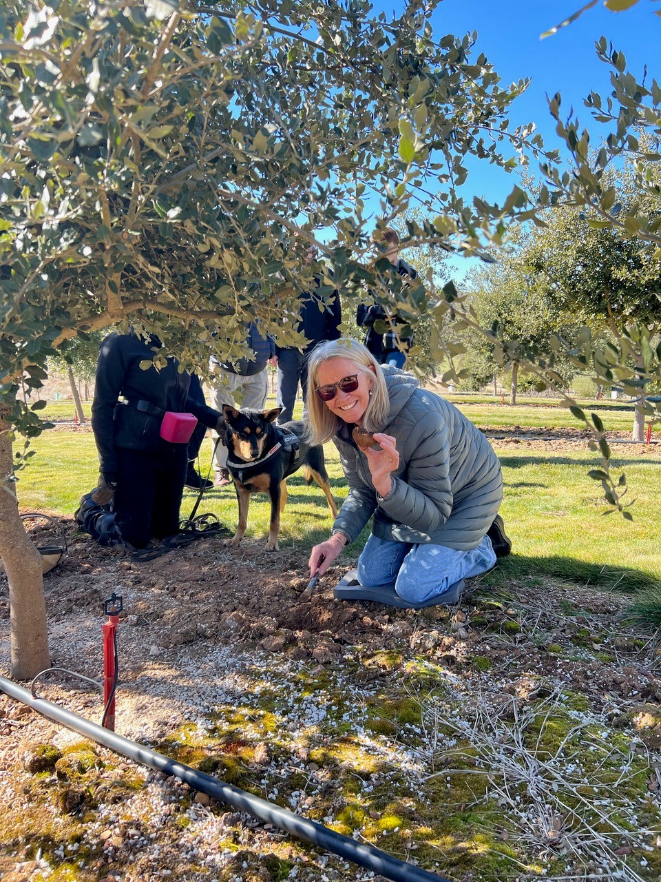 Truffle Hunt, Touch and Taste