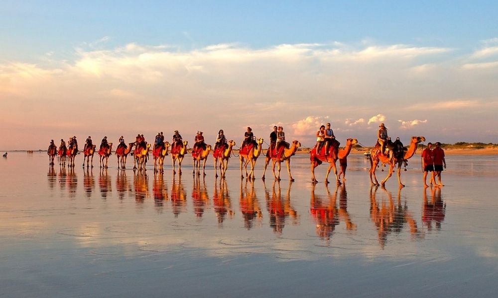 Cable Beach Sunset Camel Ride