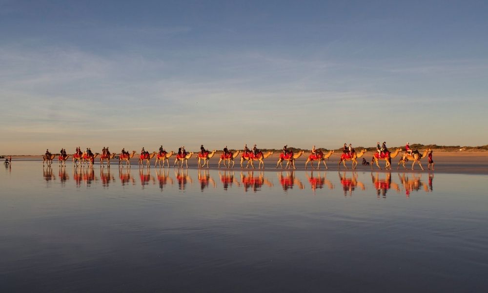 Cable Beach Sunset Camel Ride