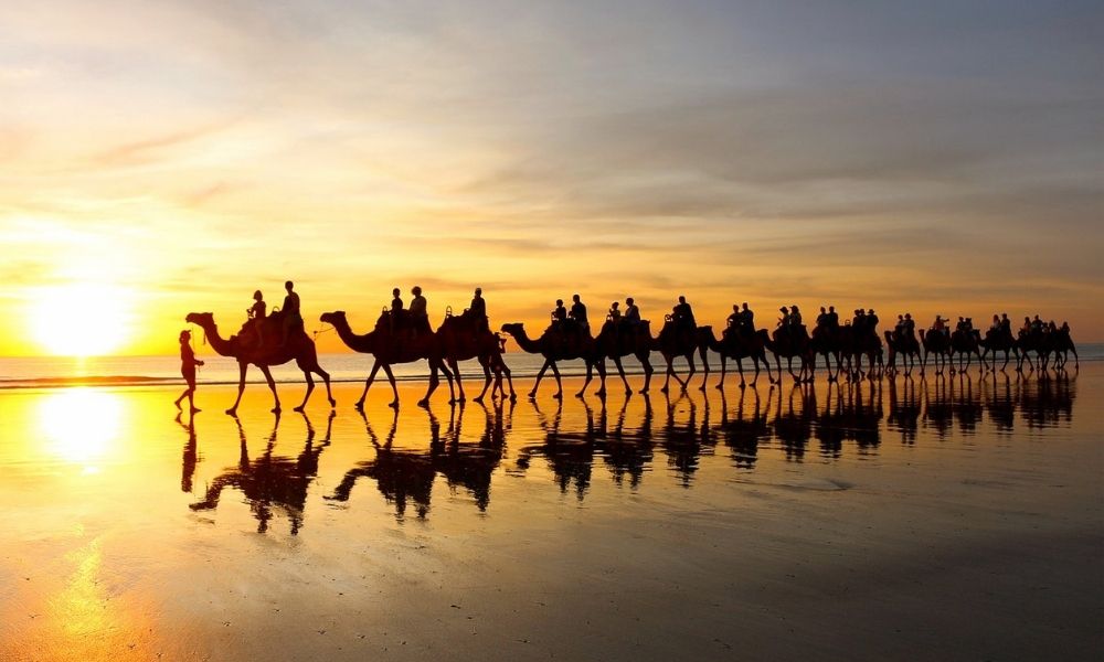 Cable Beach Sunset Camel Ride