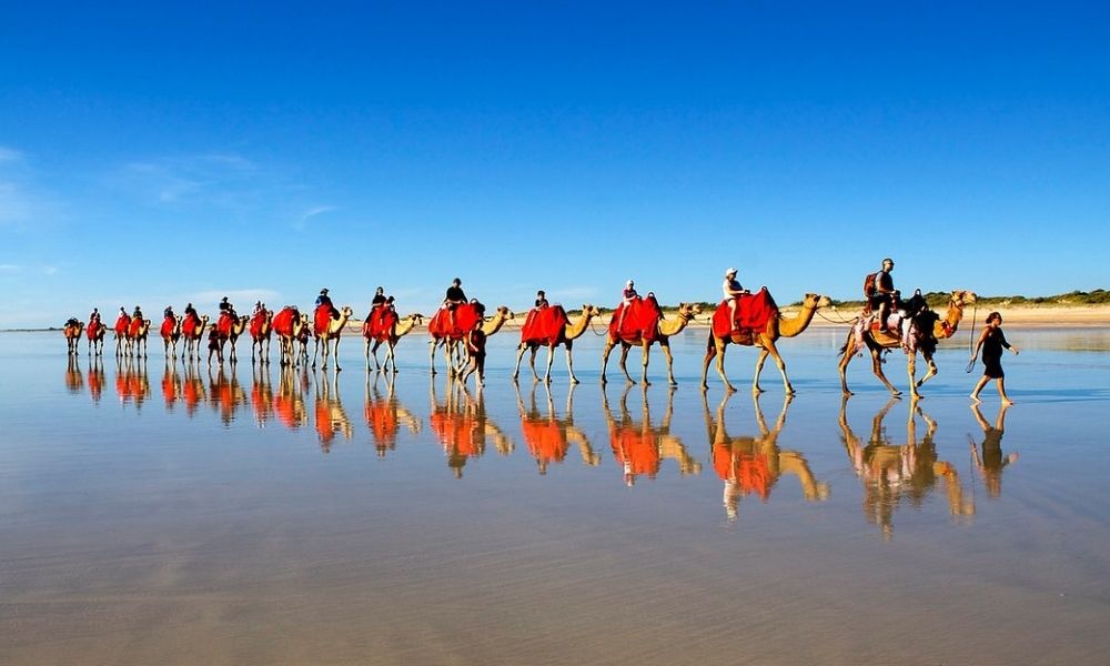 Cable Beach Pre Sunset Sampler Camel Ride