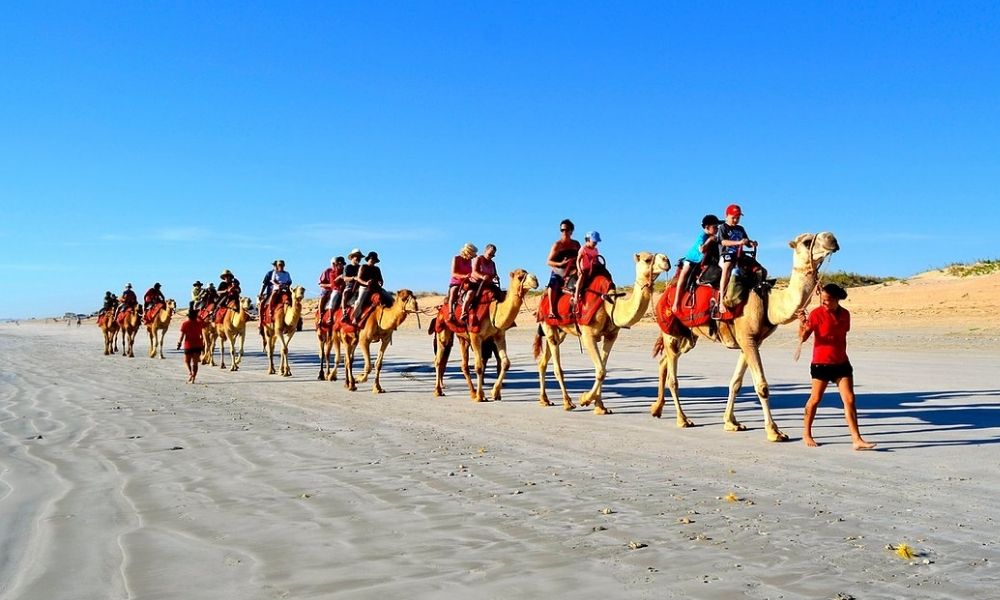 Cable Beach Pre Sunset Sampler Camel Ride