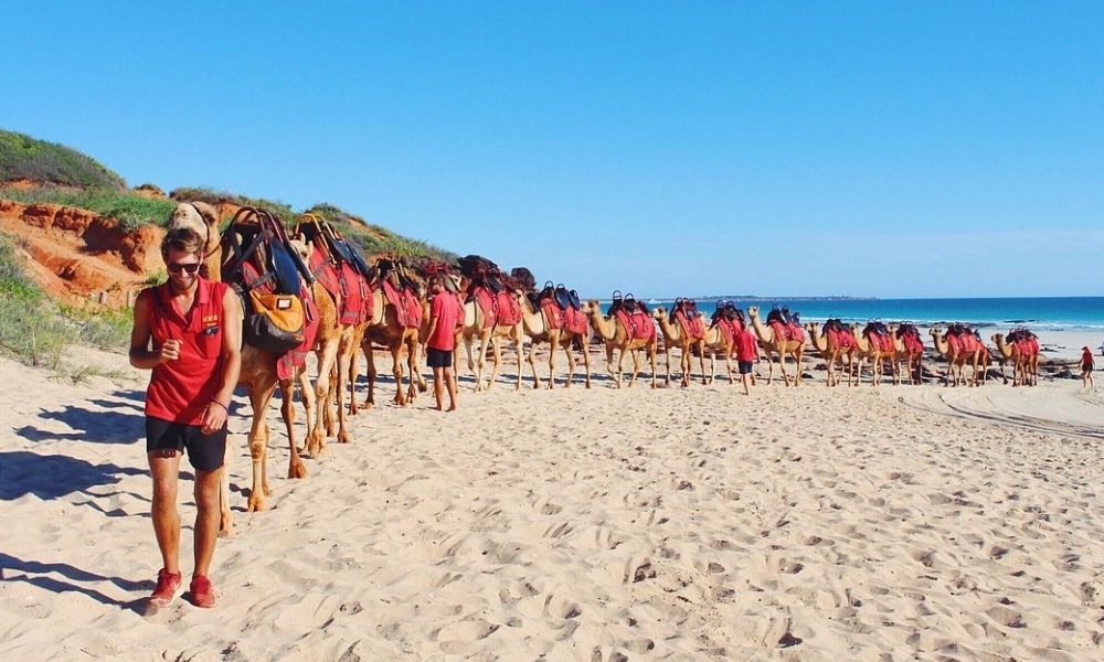 Cable Beach Pre Sunset Sampler Camel Ride