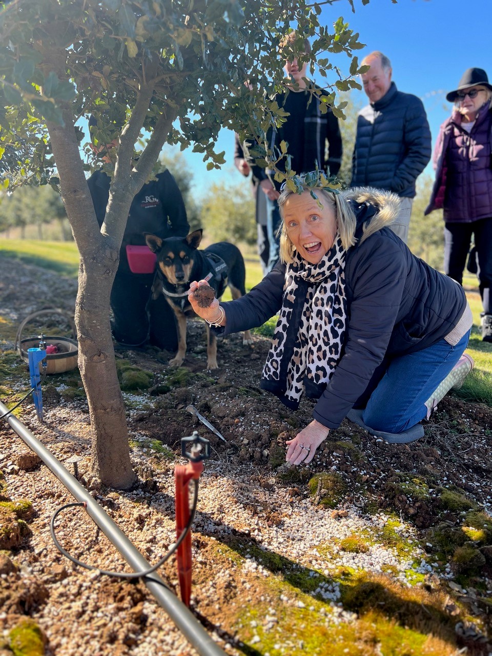 Truffle Hunt, Touch and Taste