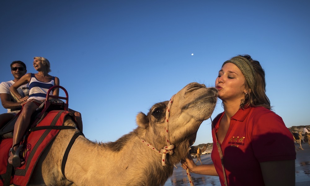 Cable Beach Pre Sunset Sampler Camel Ride