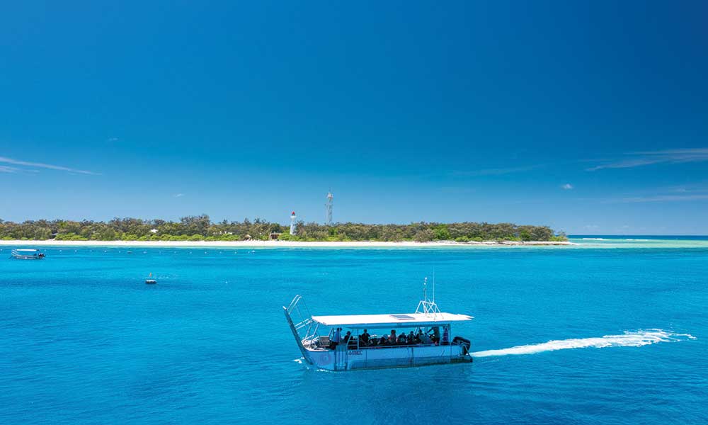 Lady Elliot Island Day Trip From 1770 including Scenic Flights