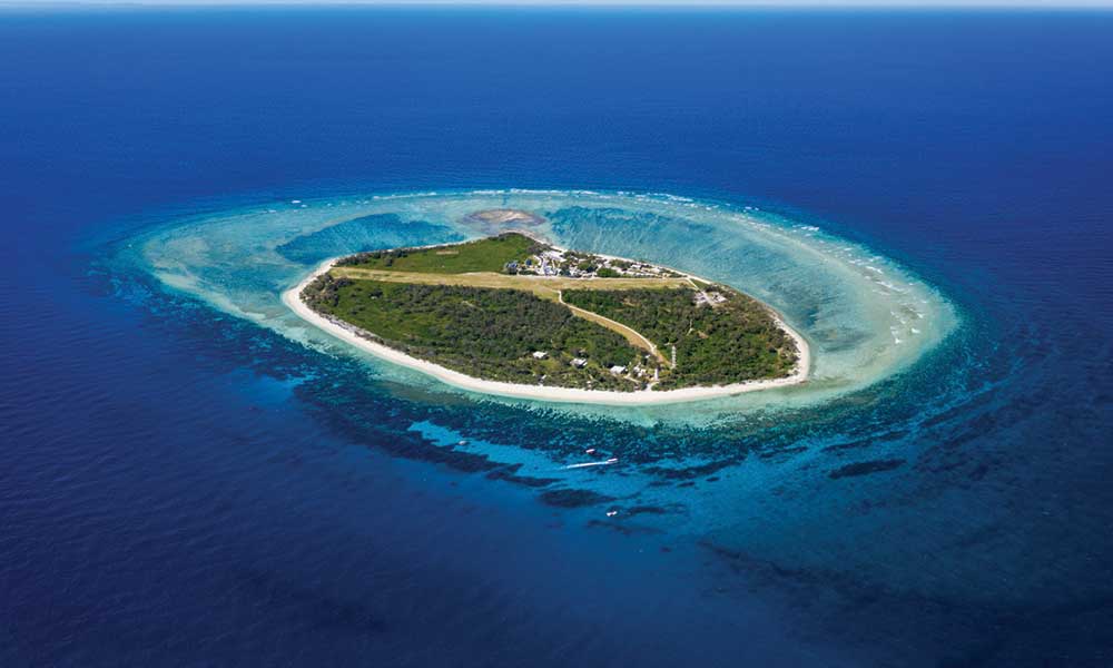 Lady Elliot Island Day Trip From 1770 including Scenic Flights