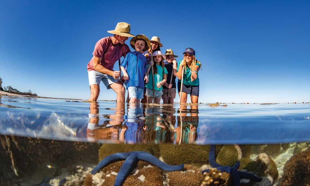 Lady Elliot Island Day Trip From 1770 including Scenic Flights