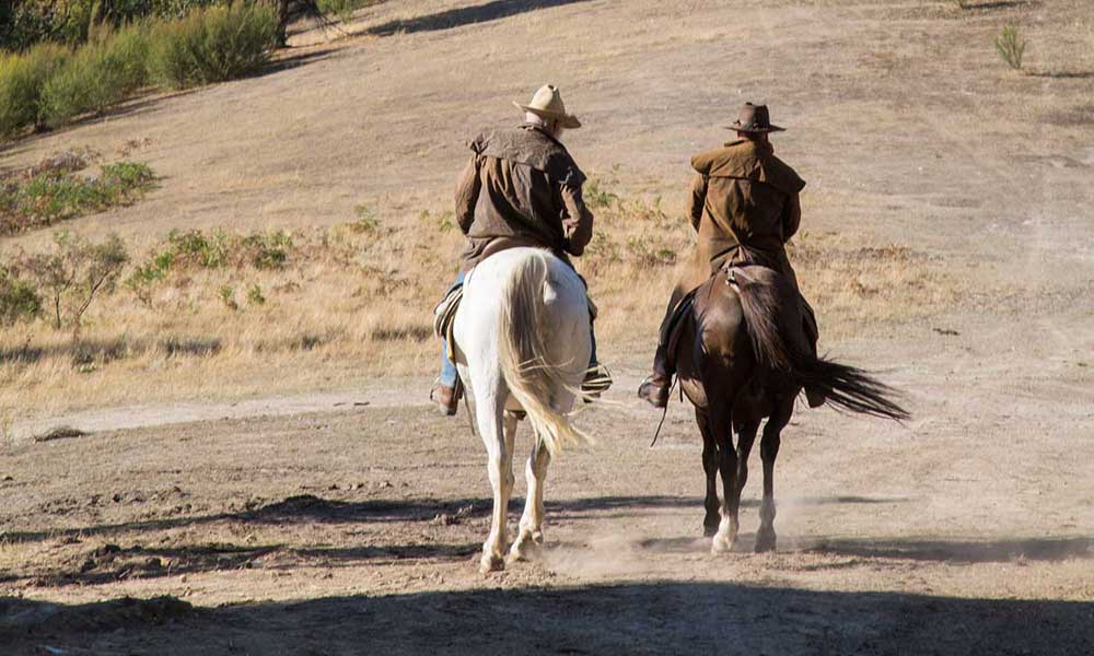 Chum Creek Guided Bush Horse Trail Ride