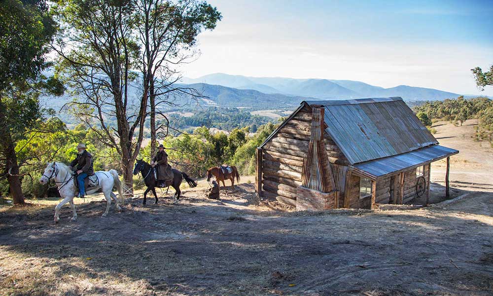 Chum Creek Guided Bush Horse Trail Ride