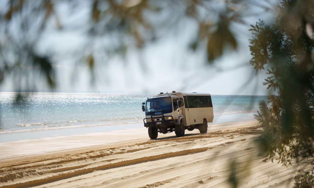 Moreton Island Day Tour From Brisbane with Kayaking and Snorkelling