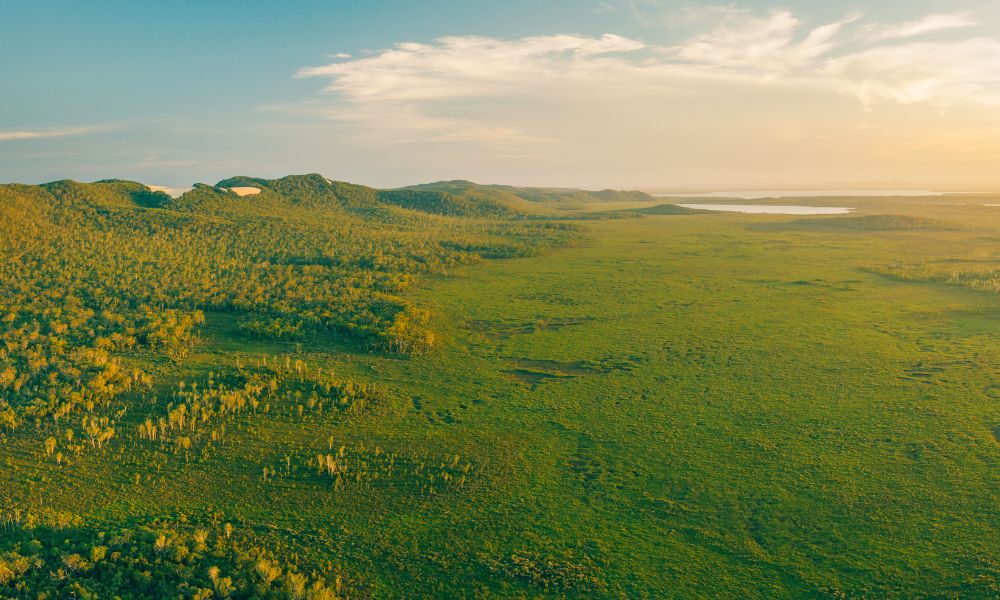 Noosa Everglades Serenity Cruise - Half Day