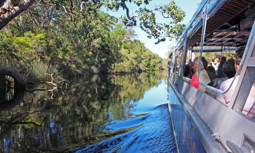 Noosa Everglades Serenity Cruise – Half Day