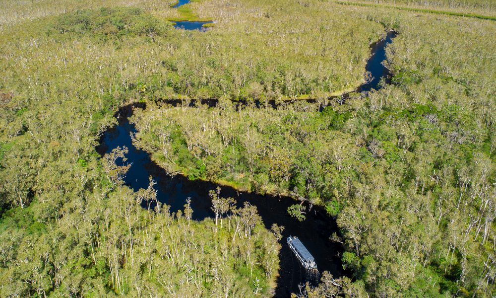 Noosa Everglades Serenity Cruise - Half Day