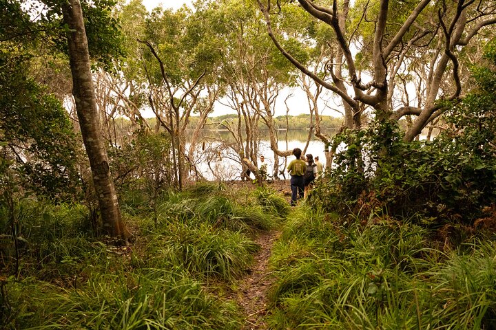 Coastal Nature Full-Day Walking Tour in Lennox Head