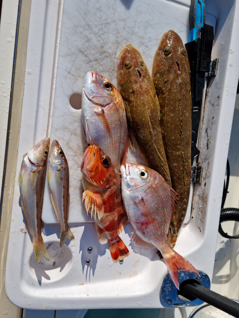 Private Charter - Flathead/Reef Fishing - 5 Hours