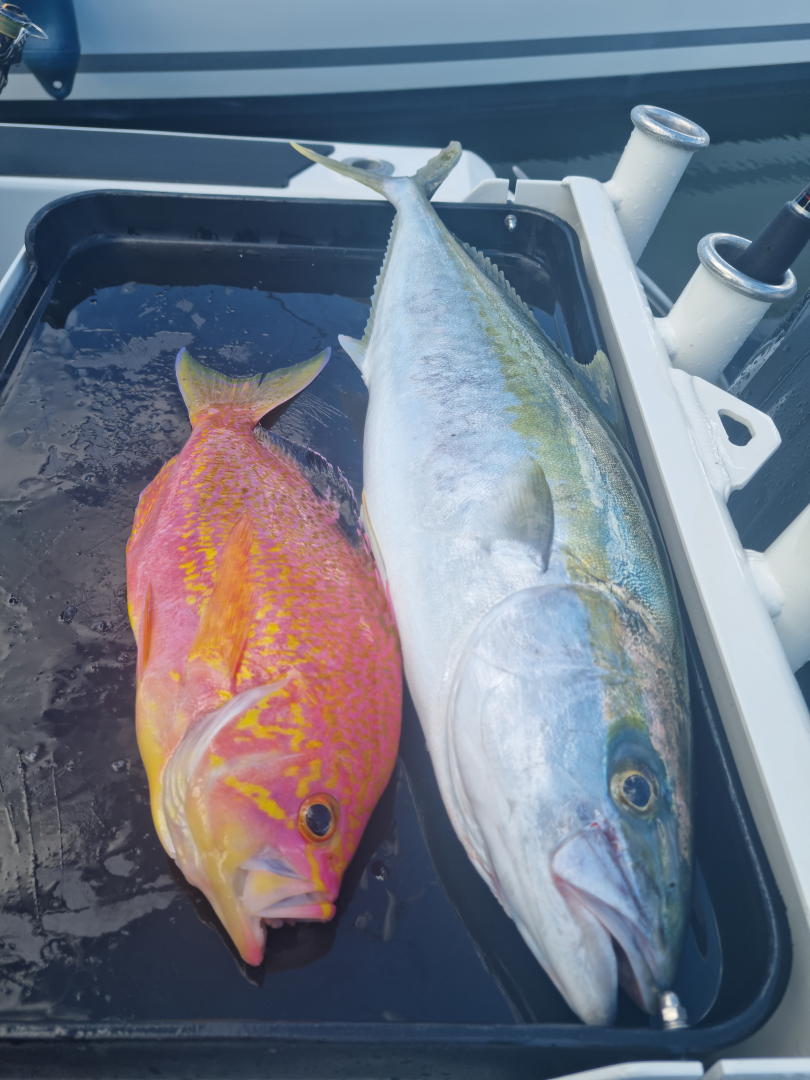 Private Charter - Flathead/Reef Fishing - 5 Hours