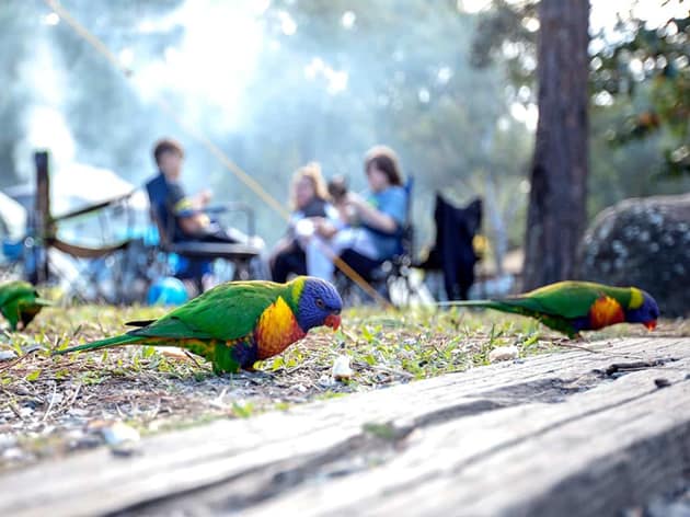 Brisbane to Thunderbird Park Shuttle Service