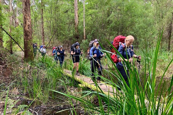 Bibbulmun Multi-Day Hike & Camp | Pemberton – Northcliffe
