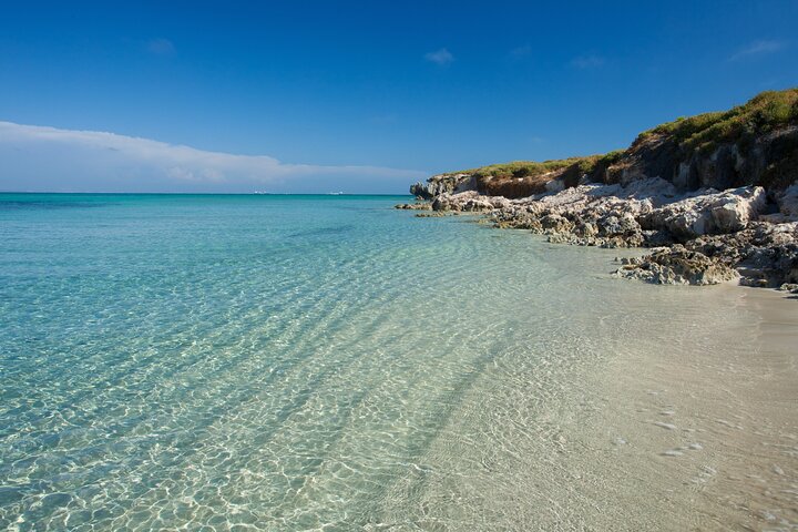 Carnac Island Eco Adventure Tour and Spot the Famous Sea Lions