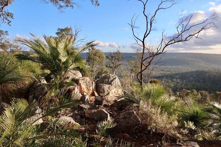 Bibbulmun Track Multi-Day Hike and Camp to the Darling Range