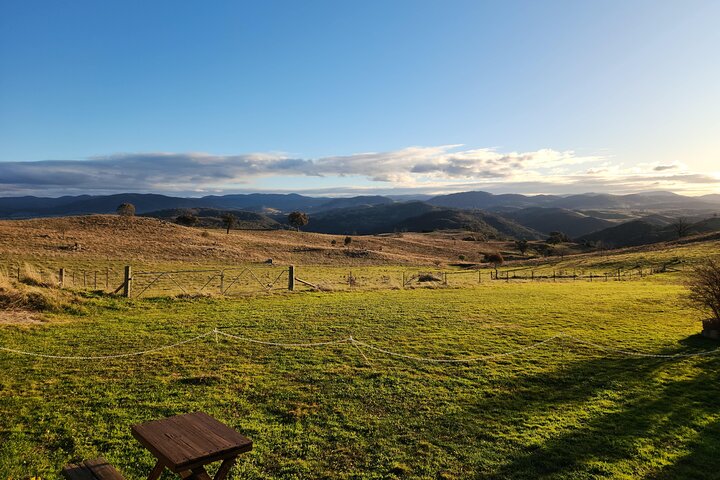 Full-Day Canberra Brewery, Wineries & Distillery tour /w lunch