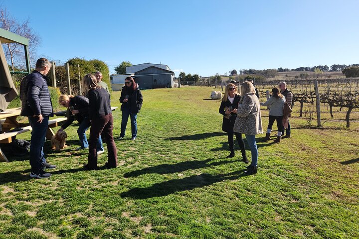 Full-Day Canberra Brewery, Wineries & Distillery tour /w lunch