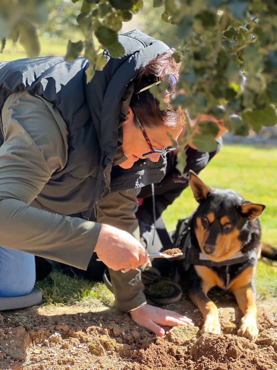 Truffle Hunt, Touch and Taste